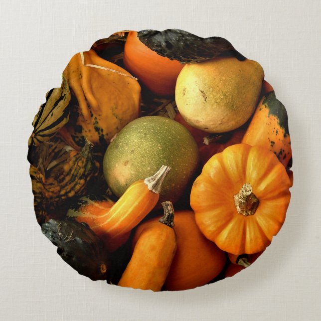 Mini pompoenen en kalebassen assortiment Herfst fo Rond Kussen (Voorkant)
