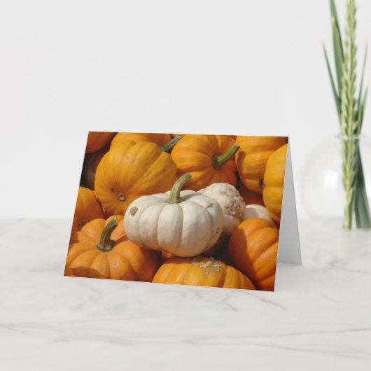 Mini Pompoenen, Thanksgiving Feestdagen Kaart (Voorkant)