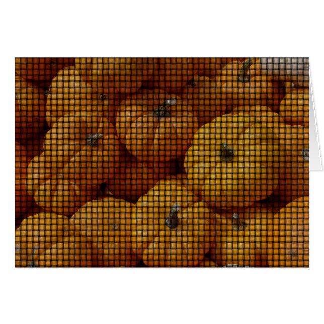 Mini Pumpkin Weave (Voorkant Horizontaal)