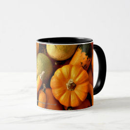 Mini Pumpkins and Gourds Assortment Herfst Foto 2 Mok