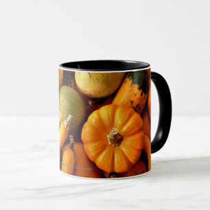 Mini Pumpkins and Gourds Assortment Herfst Foto 2 Mok