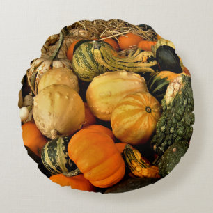 Mini Pumpkins and Gourds Assortment Herfst Foto Rond Kussen