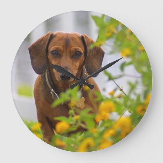 Mini Red Dachshund Clock Grote Klok (Voorkant)