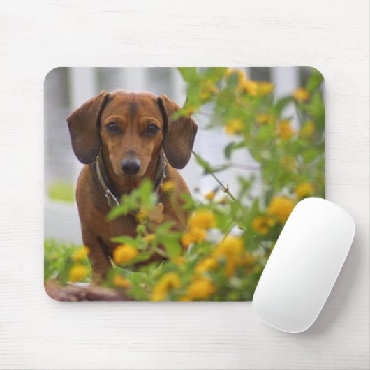 Mini Red Dachshund Mousepad Muismat (Met muis)