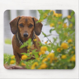 Mini Red Dachshund Mousepad Muismat
