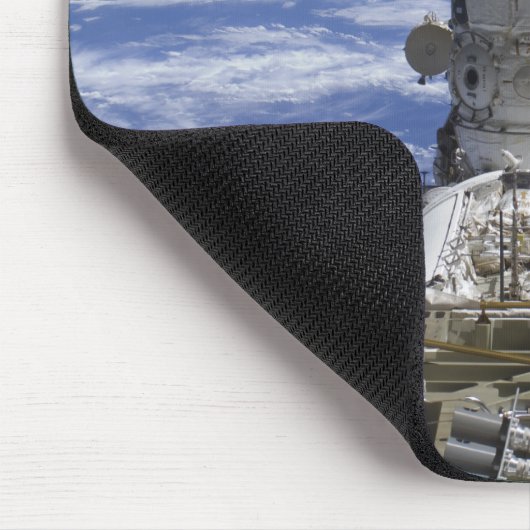 Mini Research Module 2 Muismat (Hoek)