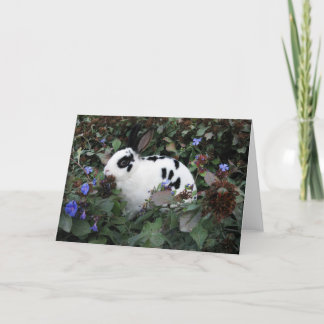Mini Rex Konijn Wenskaart Kaart