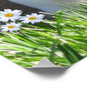 Mini rex met mazen poster (Hoek)