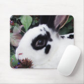 Mini Rex Mousepad Muismat (Met muis)