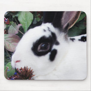 Mini Rex Mousepad Muismat