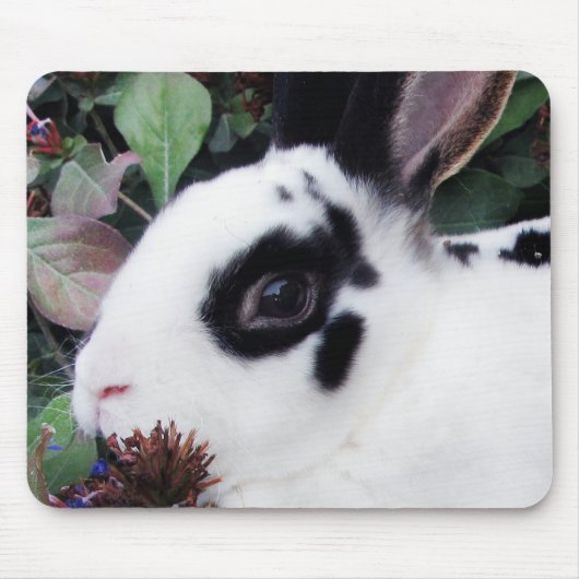 Mini Rex Mousepad Muismat (Voorkant)