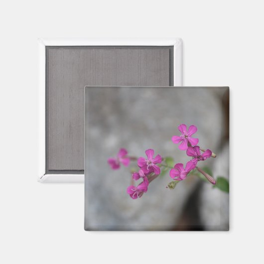 Mini Roze Bloemen met stenen Magneet (Voorkant / Achterkant)