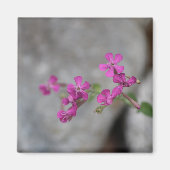 Mini Roze Bloemen met stenen Magneet (Voorkant)