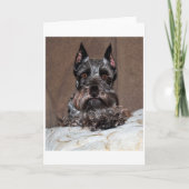 mini schnauzer 2 feestdagen kaart (Voorkant)