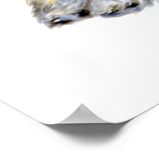 Mini Schnauzer Buddies Poster (Hoek)