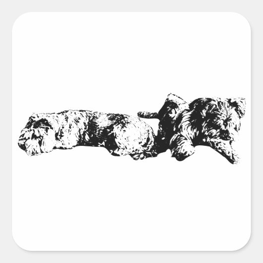 Mini Schnauzer Duo – Sticker in strakke zwart-wit (Voorkant)