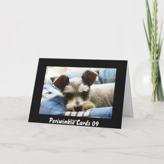 Mini Schnauzer Feestdagen Kaart (Achterkant)