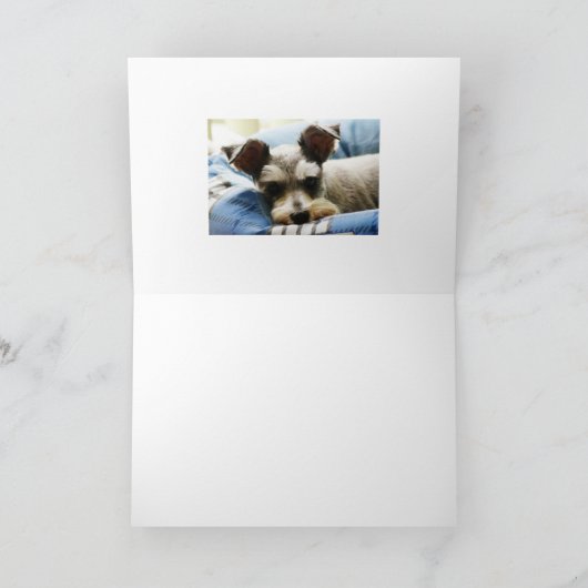 Mini Schnauzer Feestdagen Kaart (Binnen)