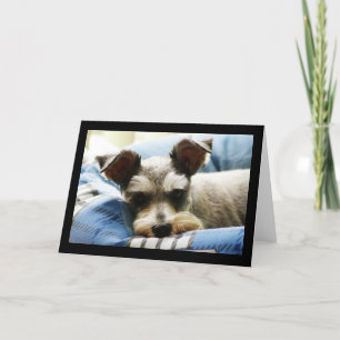 Mini Schnauzer Feestdagen Kaart