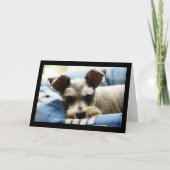 Mini Schnauzer Feestdagen Kaart (Voorkant)