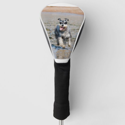 mini schnauzer golfheadcover (Voorkant)