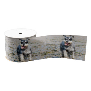 mini schnauzer grosgrain lint