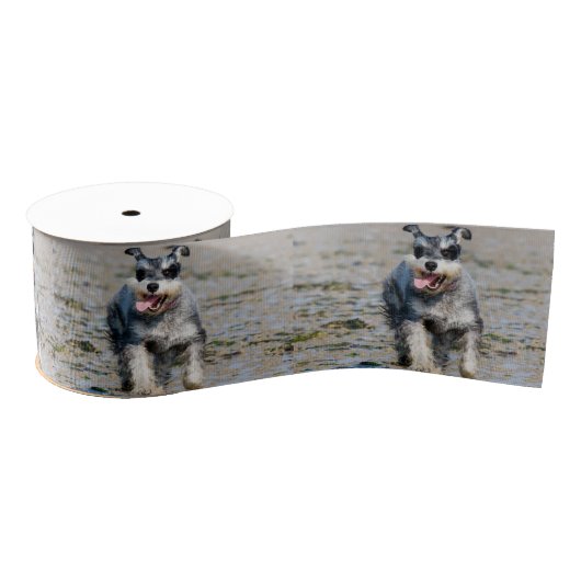 mini schnauzer grosgrain lint (Spoel)
