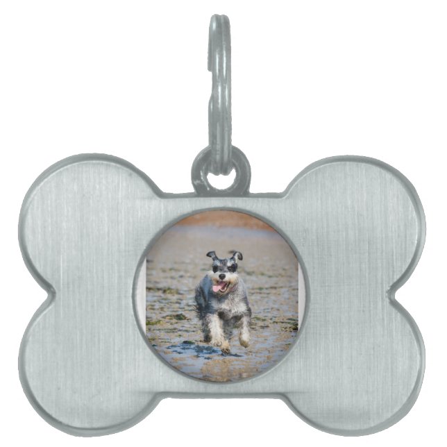 mini schnauzer-hardlopen huisdieren naamplaatje (voorkant)
