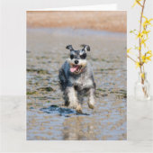 mini schnauzer kaart (Gele Bloem)