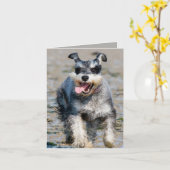 mini schnauzer kaart (Gele Bloem)