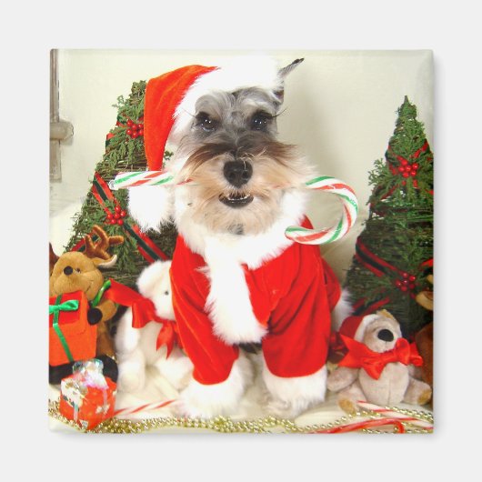 Mini Schnauzer Kerstmagneet Magneet (Voorkant)