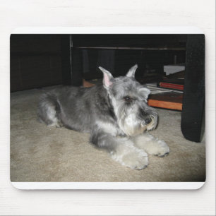 Mini_Schnauzer leggen Muismat