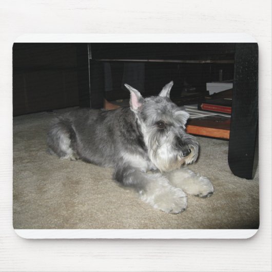 Mini_Schnauzer leggen Muismat (Voorkant)