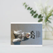 mini schnauzer-liefde w pic briefkaart (Staand voorkant)