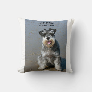 mini schnauzer-liefde w pic kussen