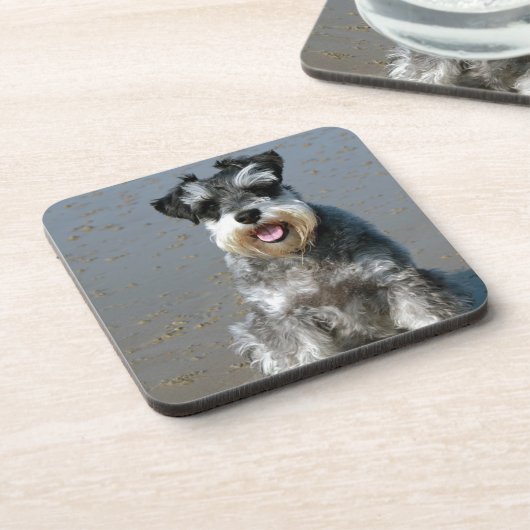 mini schnauzer op het strand.png onderzetter (Linkerzijde)