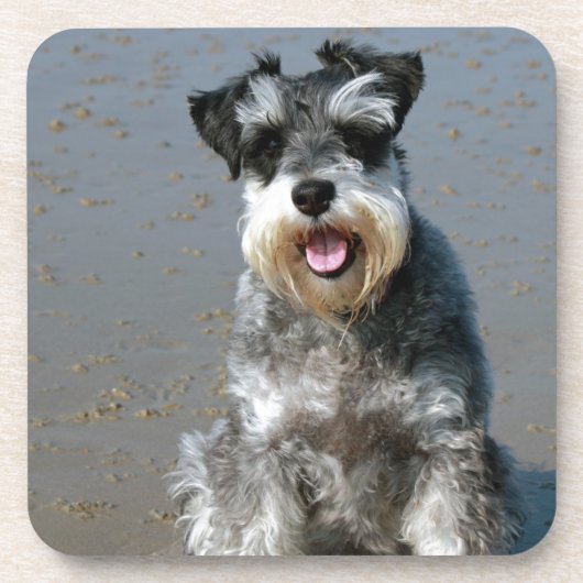 mini schnauzer op het strand.png onderzetter (Voorkant)