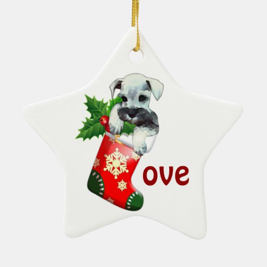 Mini Schnauzer Ornament (Achterkant)
