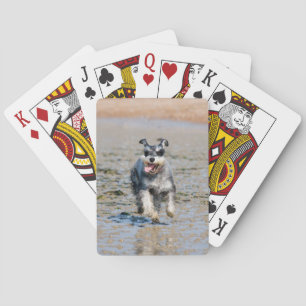 mini schnauzer pokerkaarten