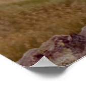 Mini Schnauzer Poster (Hoek)