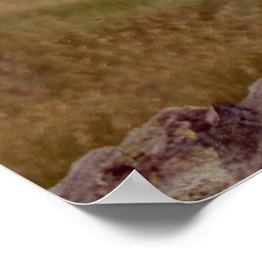 Mini Schnauzer Poster (Hoek)