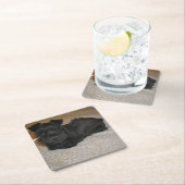 mini schnauzer puppy kartonnen onderzetters (Insitu)