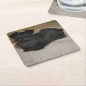 mini schnauzer puppy kartonnen onderzetters (Schuin)