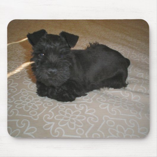 mini schnauzer puppy muismat (Voorkant)