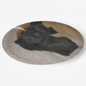 mini schnauzer puppy papieren bordje (Gekanteld)