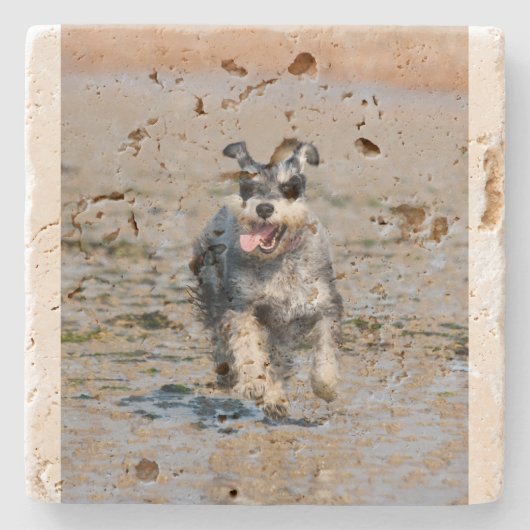 mini schnauzer stenen onderzetter (Voorkant)