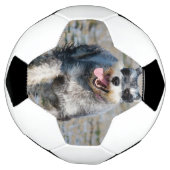 mini schnauzer voetbal (Gedraaid)