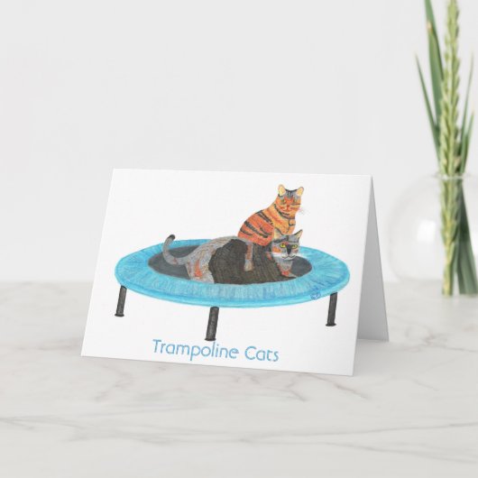 Mini Trampoline Cats 2 Kaart (Voorkant)
