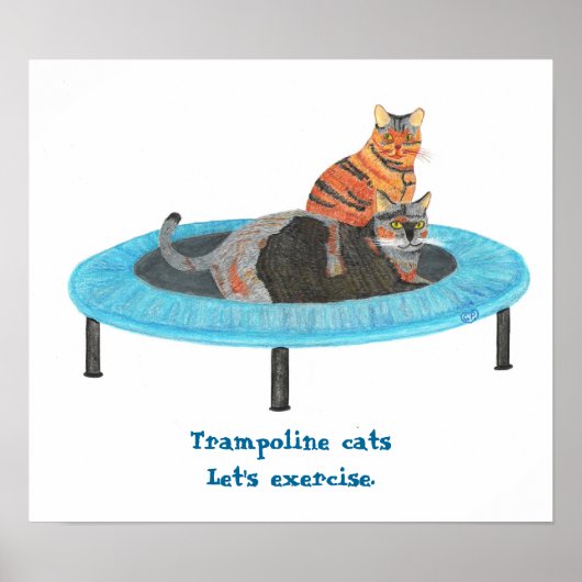 Mini Trampoline Katten, Laten we oefenen Posters (Voorkant)