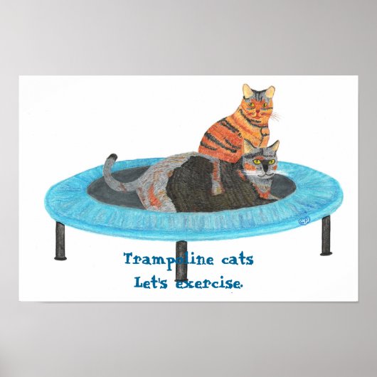 Mini Trampoline Katten, Laten we oefenen Posters (Voorkant)
